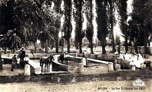 2135- Aflou - Fer a Cheval - 1951